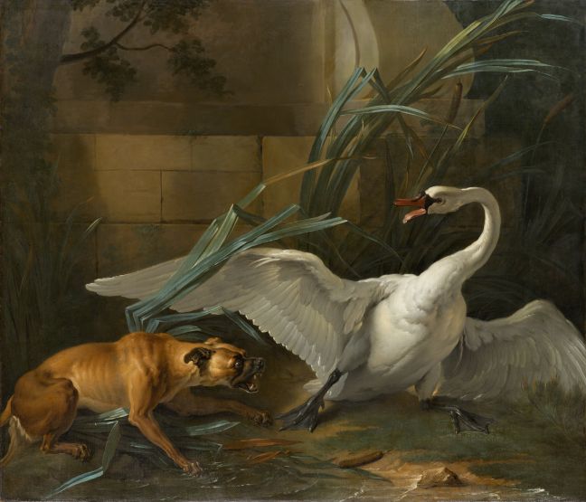 oudry_swan_attacked_by_a_dog
